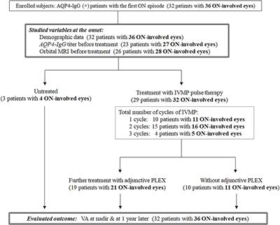 Rapid Administration of High-Dose Intravenous Methylprednisolone Improves Visual Outcomes After Optic Neuritis in Patients With AQP4-IgG-Positive NMOSD